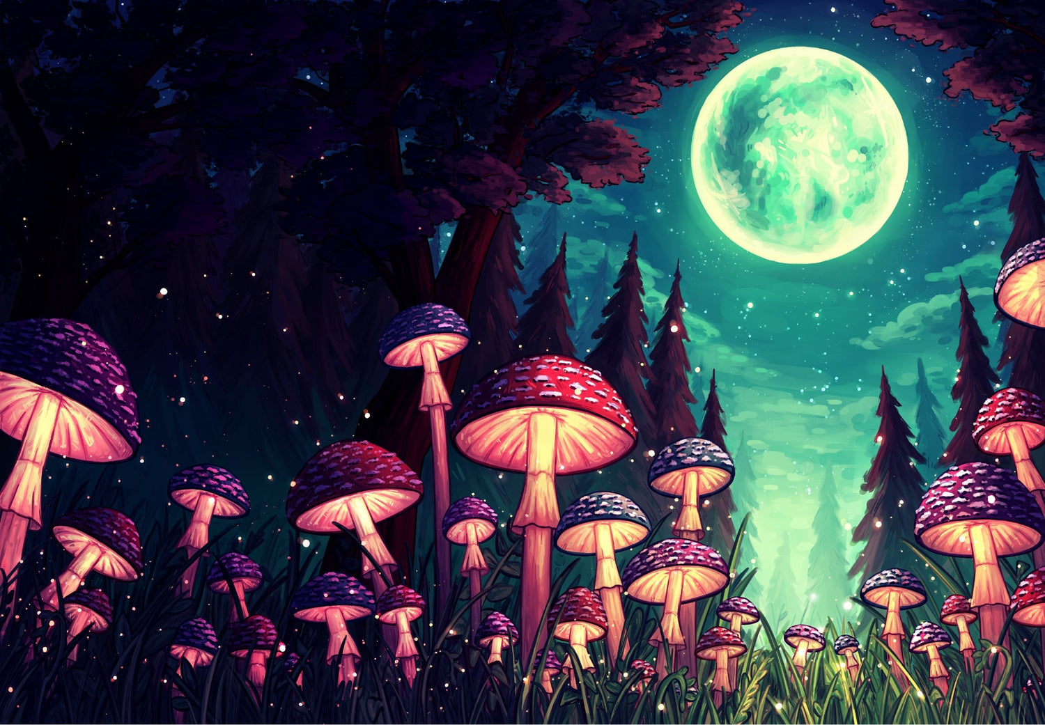 Mushroom Collection